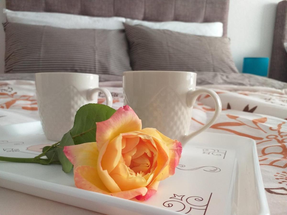 Apartments Karic Aerodrom Tuzla Dubrave Gornje Екстер'єр фото